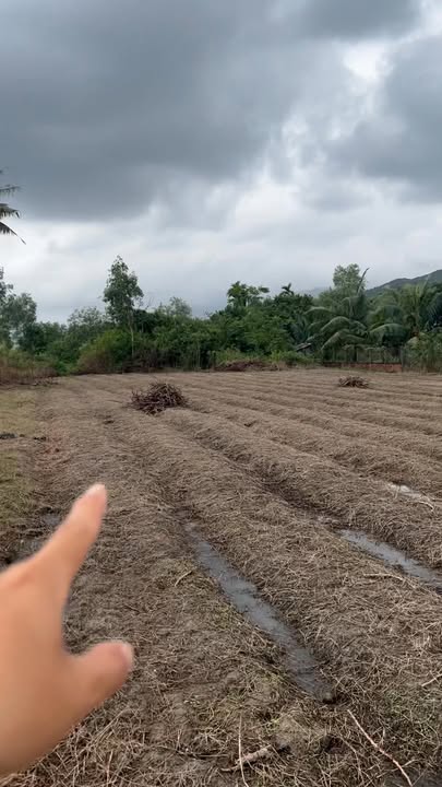 Đất vườn Quế Xuân 2 2000m² giá chỉ 1.15 tỷ - Cơ hội đầu tư hấp dẫn!