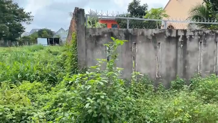 Đất nền mặt tiền Tôn Thất Tùng, thị trấn Phước Bửu, 480m² - Đầu tư sinh lời ngay!