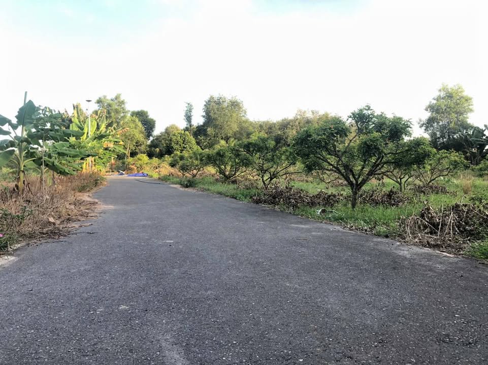 Đất nền Hòa Hội, Xuyên Mộc 2800m² giá chỉ 80 triệu/m2 - Cơ hội đầu tư hấp dẫn!