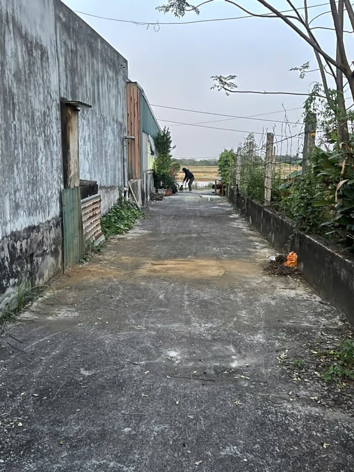 Đất nền Vân Từ, Phú Xuyên 83m² giá 2.5 tỷ - Sổ hồng chính chủ ngay gần ủy ban!