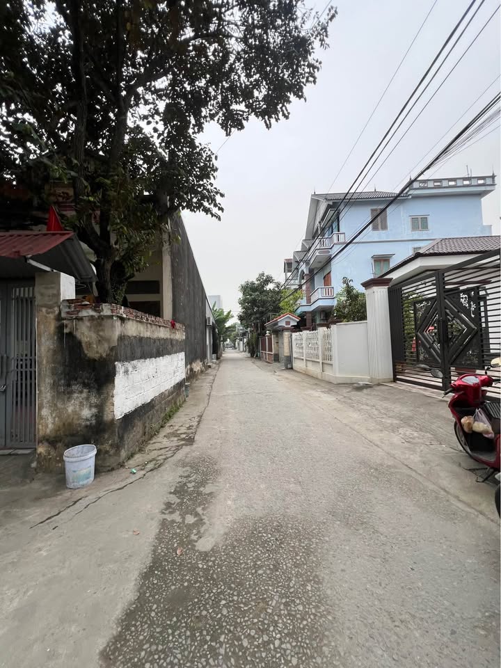 Đất nền Phú Sơn Thanh Hóa 116m² giá 2.32 tỷ - Cơ hội đầu tư tuyệt vời!