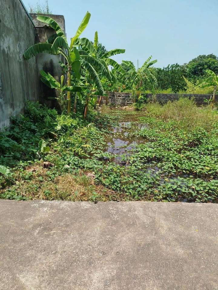 Đất nền Quang Trung, Nam Định 82m² giá thỏa thuận - Vị trí đắc địa, giao thông thuận lợi!