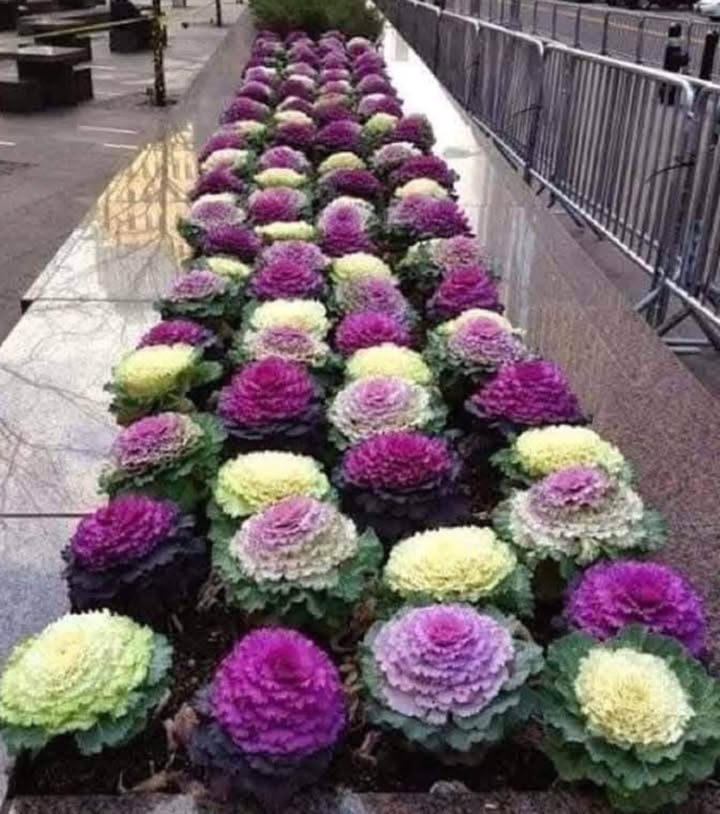 Đất nền Đồng Du Bình Lục 173m² giá 1.4 tỷ - Đường ô tô tận nơi!