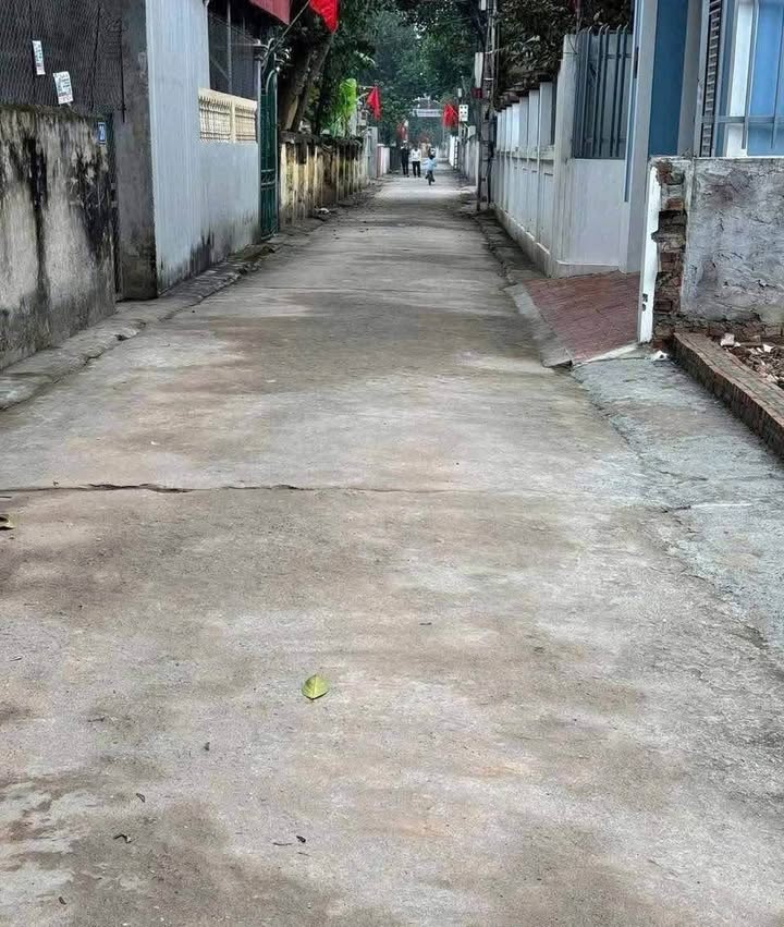 Đất nền Vân Nam, Phúc Thọ 54.5m² giá thỏa thuận - Cơ hội đầu tư hấp dẫn!