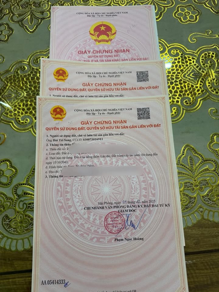 Đất nền An Thanh Tứ Kỳ 100m² giá 800 triệu - Hướng Đông mát mẻ, dân cư đông đúc!