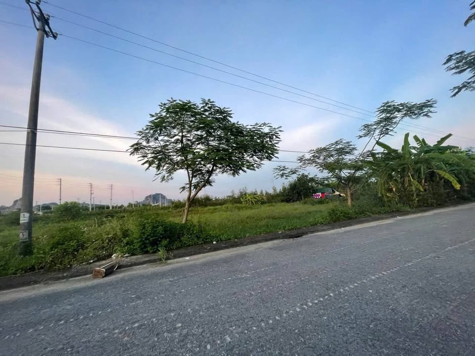 Đất nền Đông Quang - Thanh Hóa 125m² chỉ 1,3 tỷ - Cơ hội đầu tư tốt!