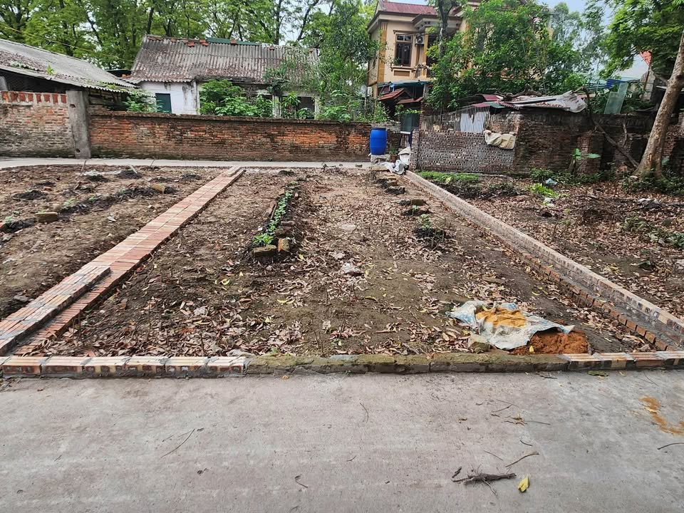 Đất nền Trưng Trắc, Văn Lâm 50m² giá 2 tỷ - Đường ô tô vào tận nơi!