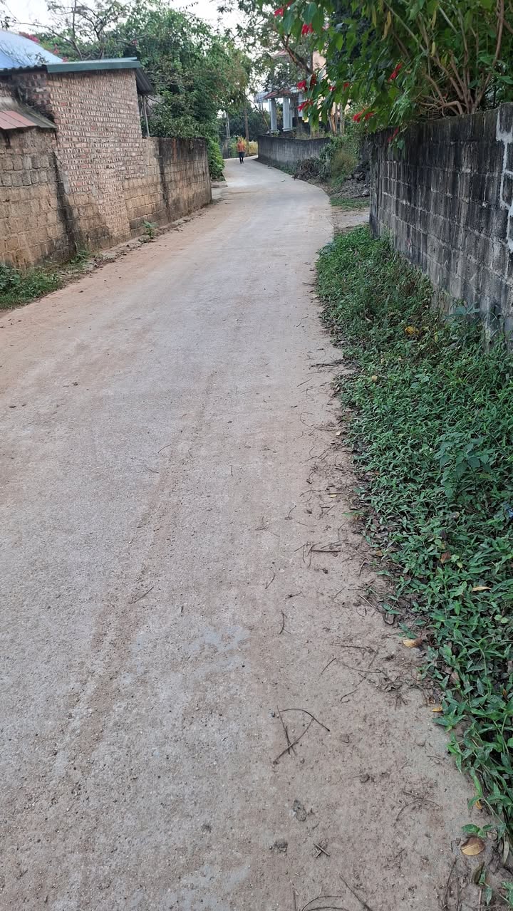 Đất thổ cư 1000m² tại Kim Long, Tam Dương - Mặt tiền 20m, giá chỉ 3 tỷ!