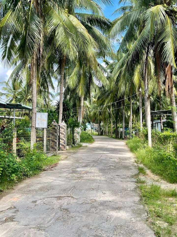 Đất nền đường Thọ Lộc, xã Xuân Lộc, Phú Yên 225m² giá 500 triệu - Cơ hội đầu tư tốt!