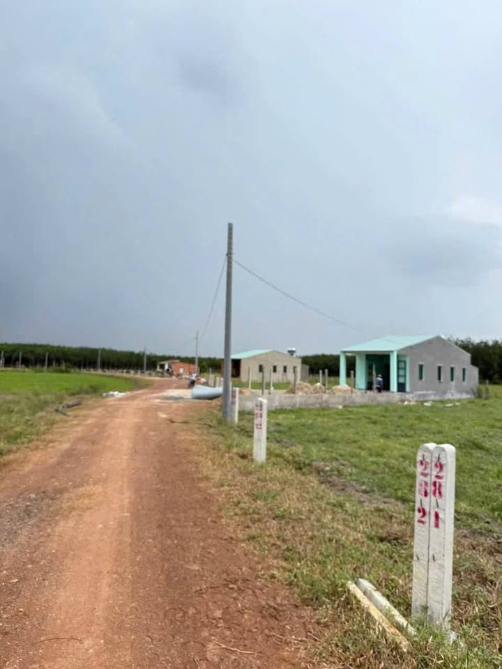 Đất Phước Ninh, Dương Minh Châu 150m² giá 280 triệu - Đầu tư sinh lời ngay!