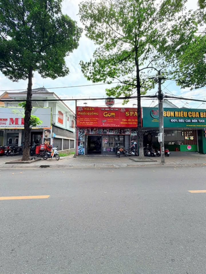 Nhà mặt tiền đường Trương Định, Biên Hòa 193m² giá 12.5 tỷ - Cơ hội đầu tư hiếm có!