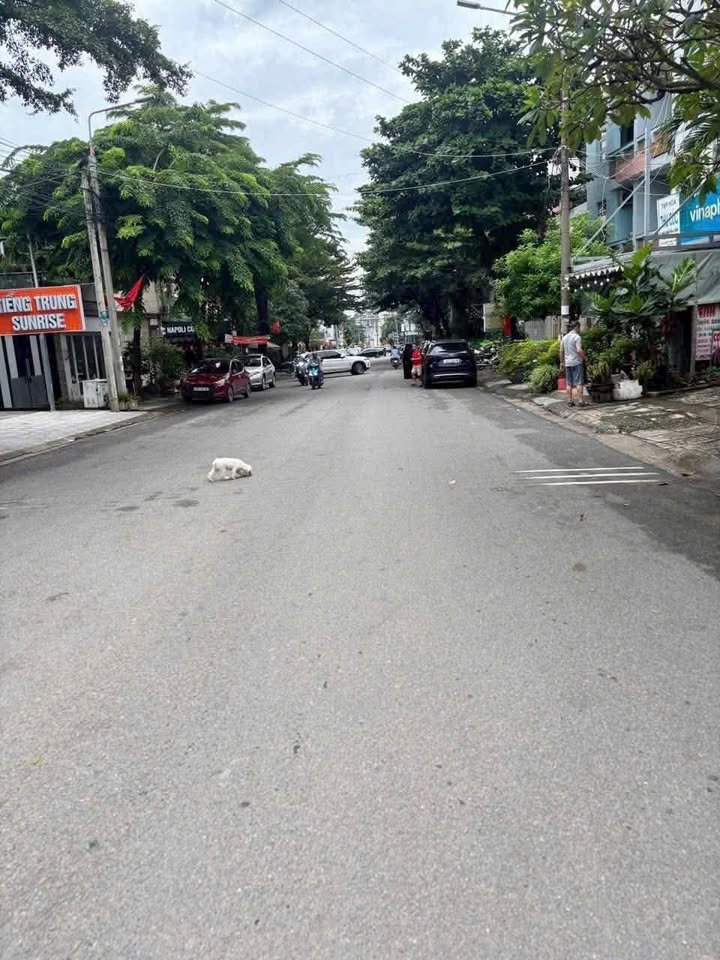 Nhà 1 trệt 2 lầu đường Trần Quốc Toản, Biên Hòa 88.2m² giá 7.5 tỷ - Nhà mới, dọn vào ở ngay!