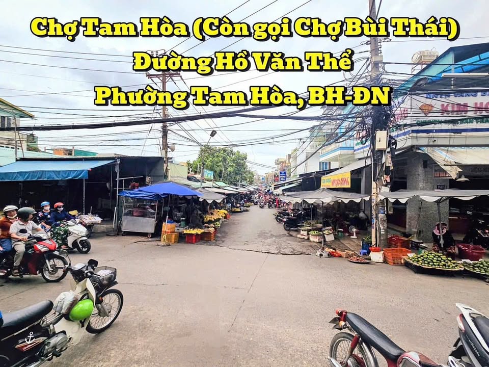 Đất nền 235m² Bùi Thái, Tam Hiệp chỉ 5 tỷ - Sổ đỏ chính chủ, vị trí đắc địa!