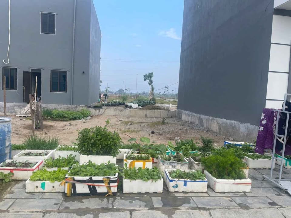 Đất nền tái định cư Lại Xuân, Thủy Nguyên 72m² giá chỉ 1.2 tỷ - Cơ hội đầu tư tuyệt vời!