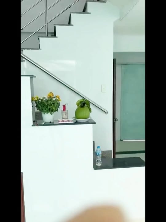 Nhà mặt tiền Gò Vấp 30m² giá 18 triệu - Cơ hội kinh doanh lý tưởng!