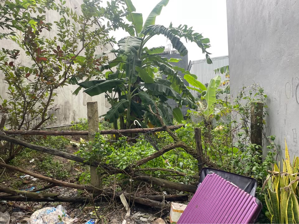 Đất nền Liên Chiểu Đà Nẵng 100m² giá 1 tỷ - Mặt tiền kiệt ô tô vào tận đất!