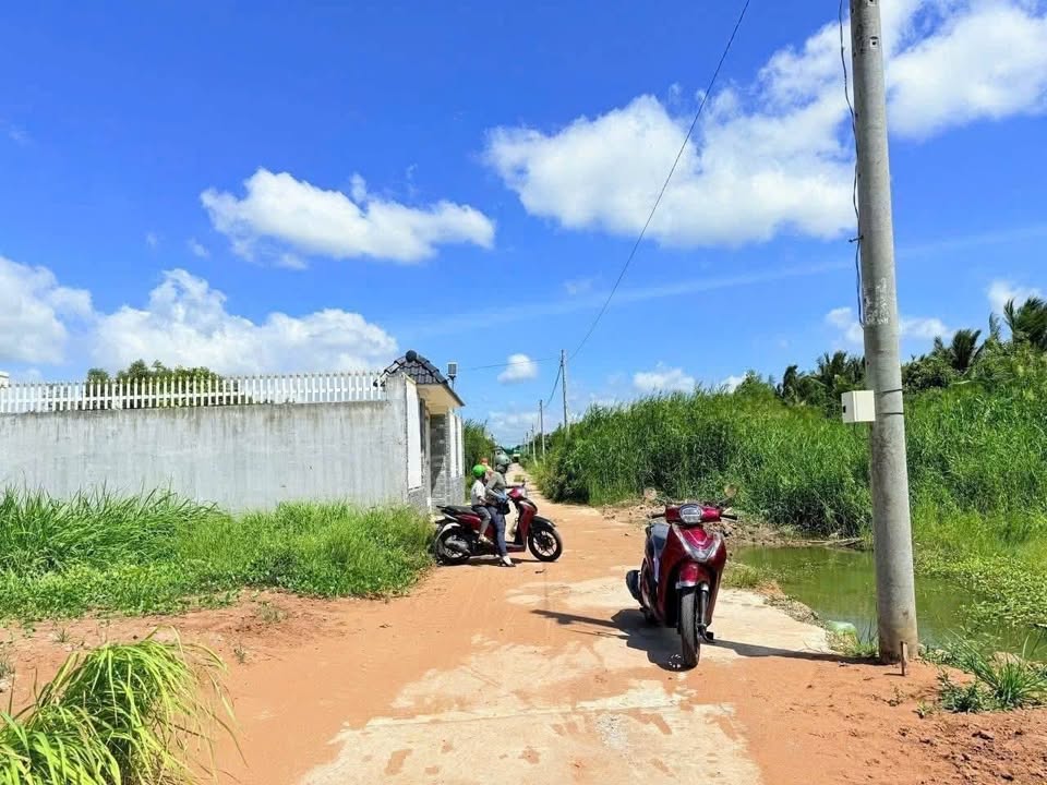 Đất thổ cư Hữu Định Châu Thành 295m² giá 1.5 tỷ - Cơ hội đầu tư tuyệt vời!