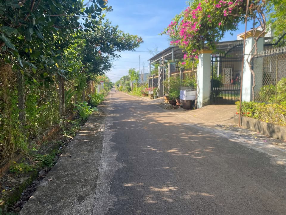 Đất mặt tiền đường nhựa Cẩm Đường, Long Thành 304m² giá 2.8 tỷ - Tiềm năng phát triển cao!