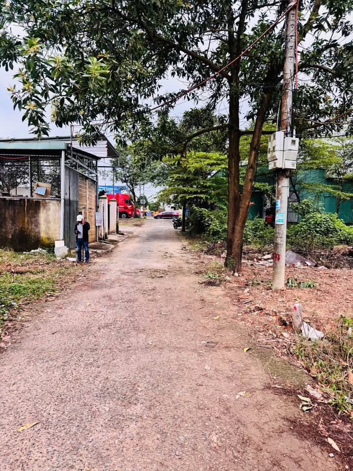 Đất nền Hòa Phước Đà Nẵng 180m² - Gần Quốc Lộ 1A, Sổ đỏ chính chủ!