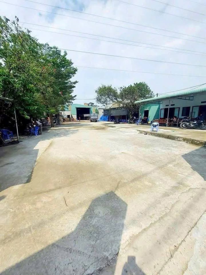 Đất tặng xưởng mặt tiền Tôn Thất Tùng, Dĩ An 2000m² - Giá tốt thương lượng!