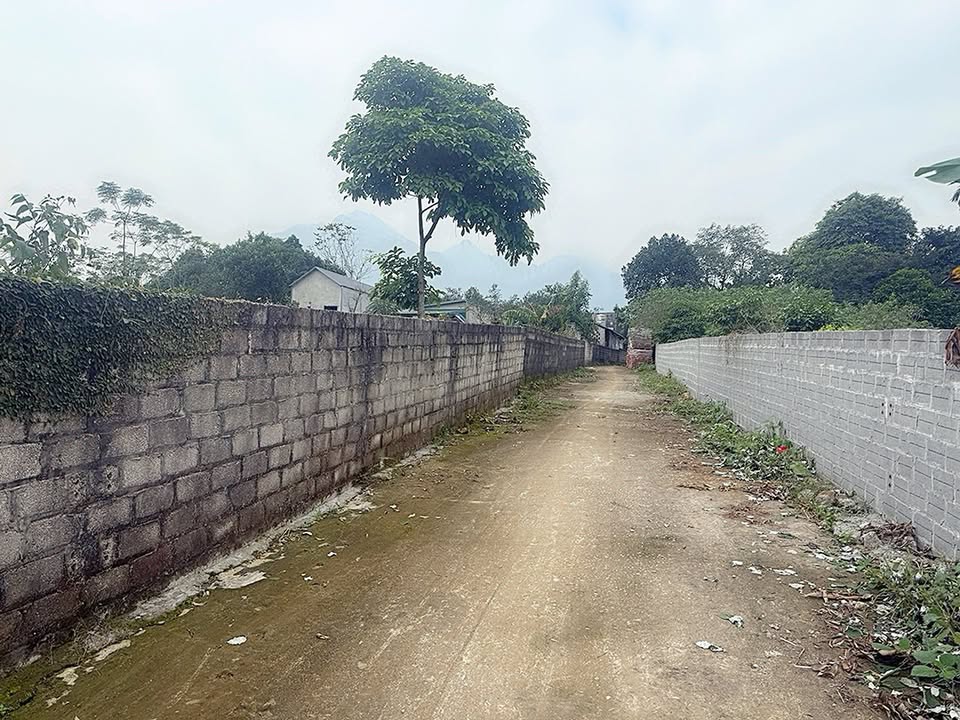 Đất thổ cư Vân Hòa Ba Vì 1440m² giá chỉ 5 triệu - Mặt tiền rộng 55m, sổ đỏ chính chủ!