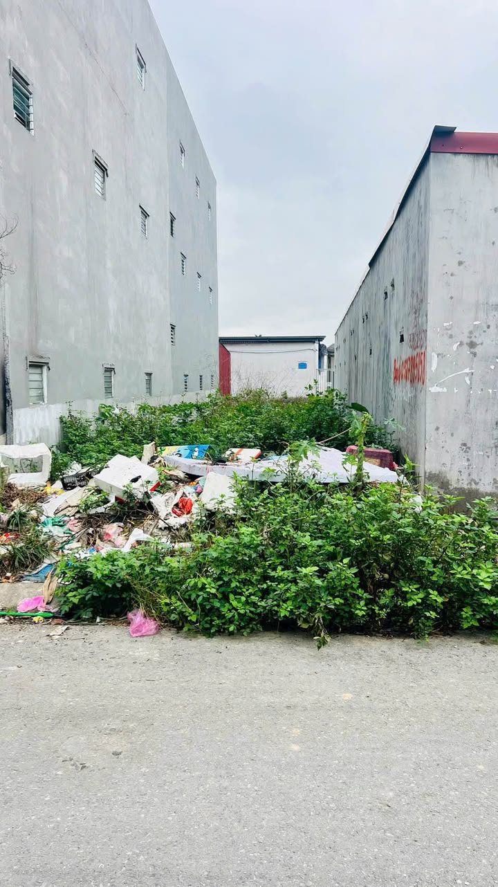 Đất nền 115m² Hồng Phong, An Dương - Kinh doanh thuận lợi, giá chỉ 3.2 tỷ!