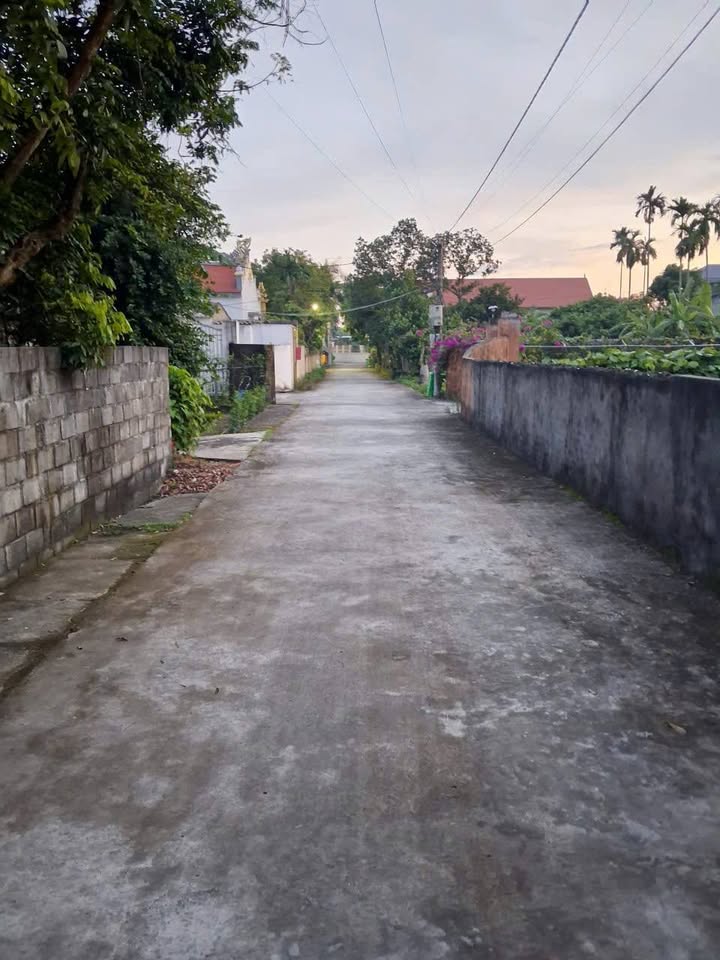 Đất đẹp bán gấp tại Quang Hưng An Lão 117m² - Tiện ích đầy đủ chỉ 690 triệu!