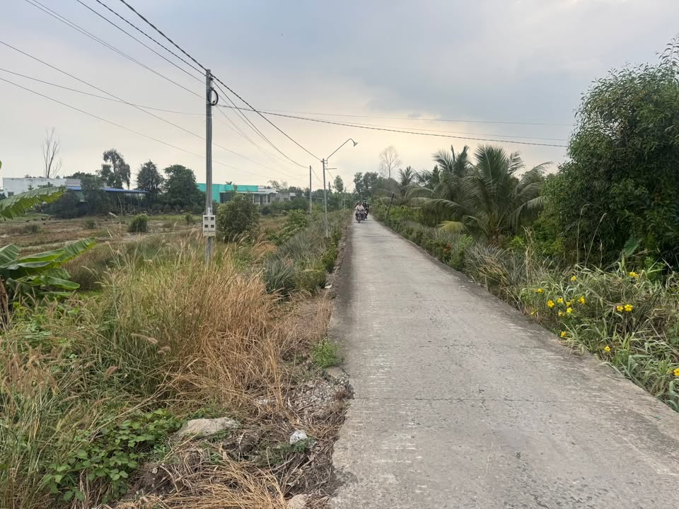 Đất mặt tiền đường bê tông Tân Đông 550m² giá 590 triệu - Cơ hội đầu tư hấp dẫn!