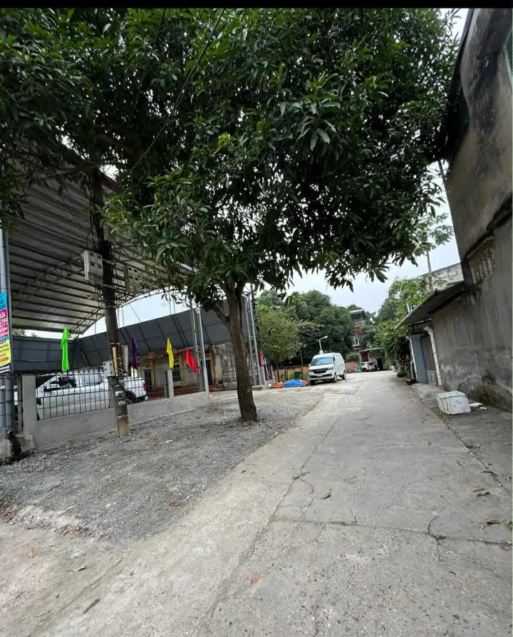 Đất thổ cư Hưng Thành 80m² giá thỏa thuận - Ngay cổng trường mầm non!