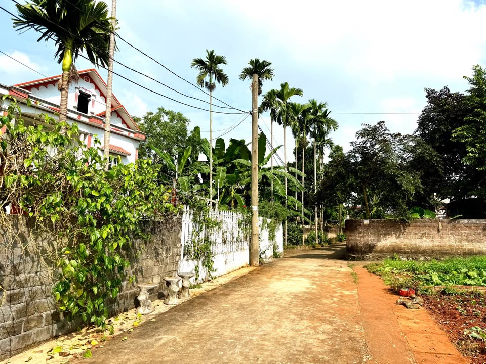 Đất nền An Tường Tuyên Quang 200m² - Lô góc 2 mặt tiền đẹp