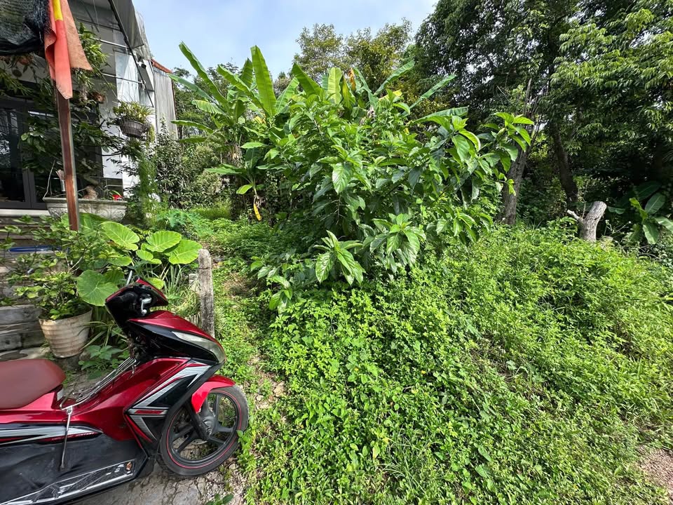 Đất Kiệt 69 Lê Ngô Cát, Thủy Xuân 118,3m² giá 1,5 tỷ - Đầu tư sinh lời lý tưởng!