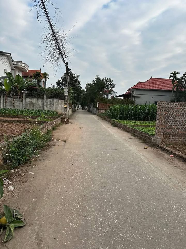 Đất thổ cư Vân Nam, Phúc Thọ 80m² giá 3 tỷ - Cơ hội đầu tư hiếm có!