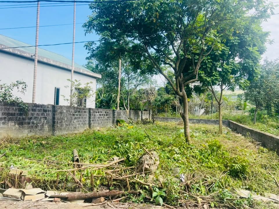 Đất nền Cư Yên, Lương Sơn 139m² chỉ 1 tỷ - Cơ hội đầu tư lớn!