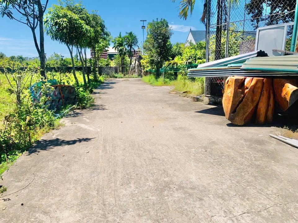 Đất Nghi Liên 100.9m² giá thỏa thuận - Mặt tiền đẹp, gần Bệnh viện U bướu!