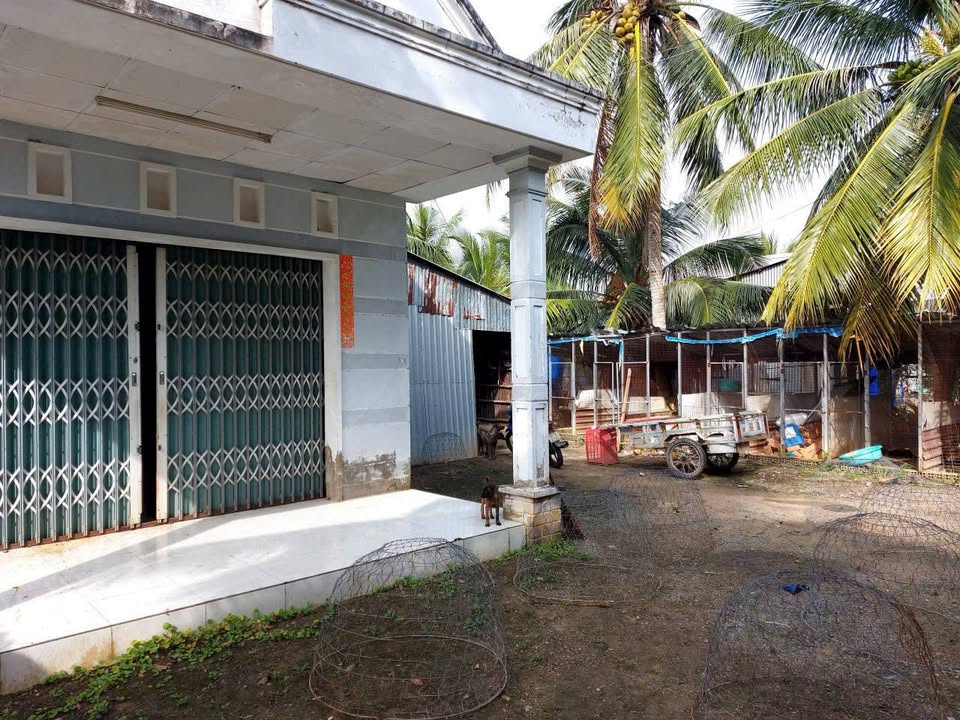 Nhà mặt tiền kênh Bác Hồ, Thạnh Lộc, An Giang - Diện tích 384m² giá 1.5 tỷ - Sẵn sàng ở ngay!