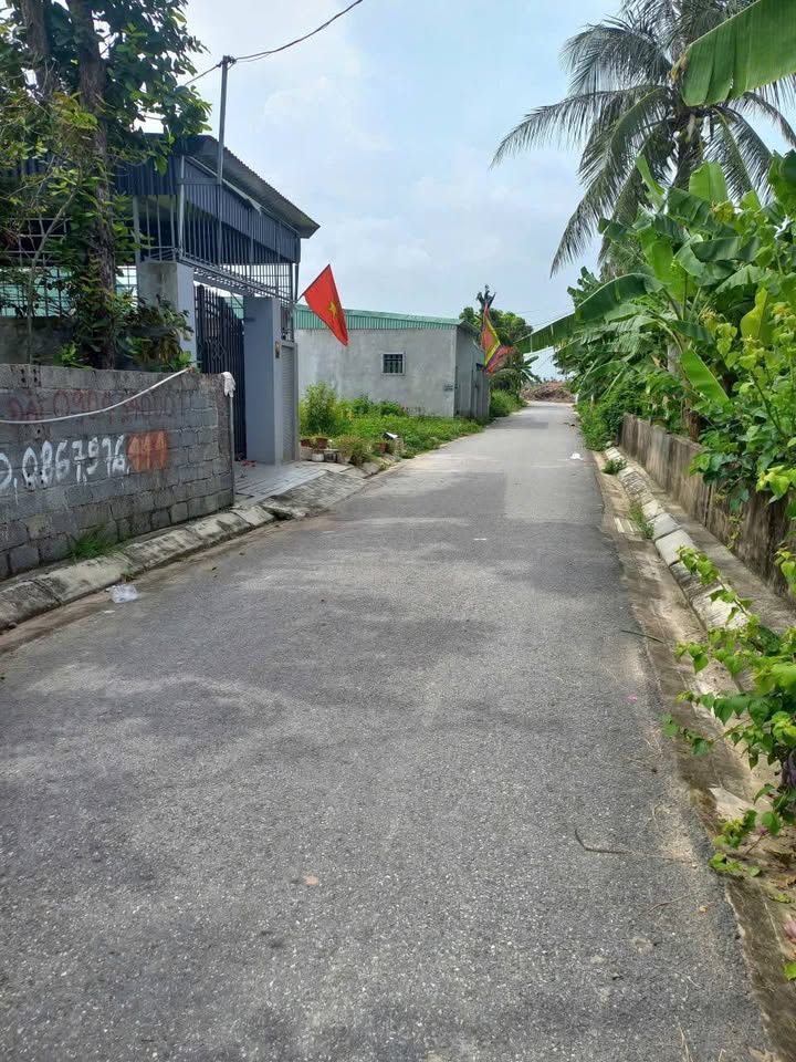 Bán đất 89m² tại ngõ 171 đường Thượng Đức, Minh Đức - Giá 1,8 tỷ, cơ hội đầu tư tuyệt vời!