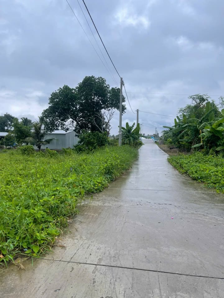 Đất nền Kinh 7, Thạnh Lộc, Châu Thành 252m² giá chỉ 600 triệu - Cơ hội đầu tư hấp dẫn!