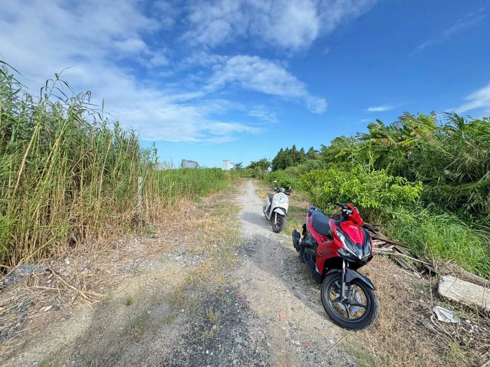 Đất nền chính chủ hẻm 275 đường Quang Trung 230m² giá 700 triệu - Đầu tư sinh lời ngay!