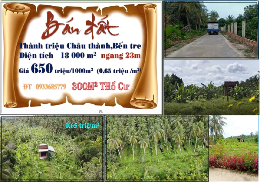 Đất vườn Dừa Thành, Châu Thành, Bến Tre 18.500m² - Cơ hội đầu tư hấp dẫn!