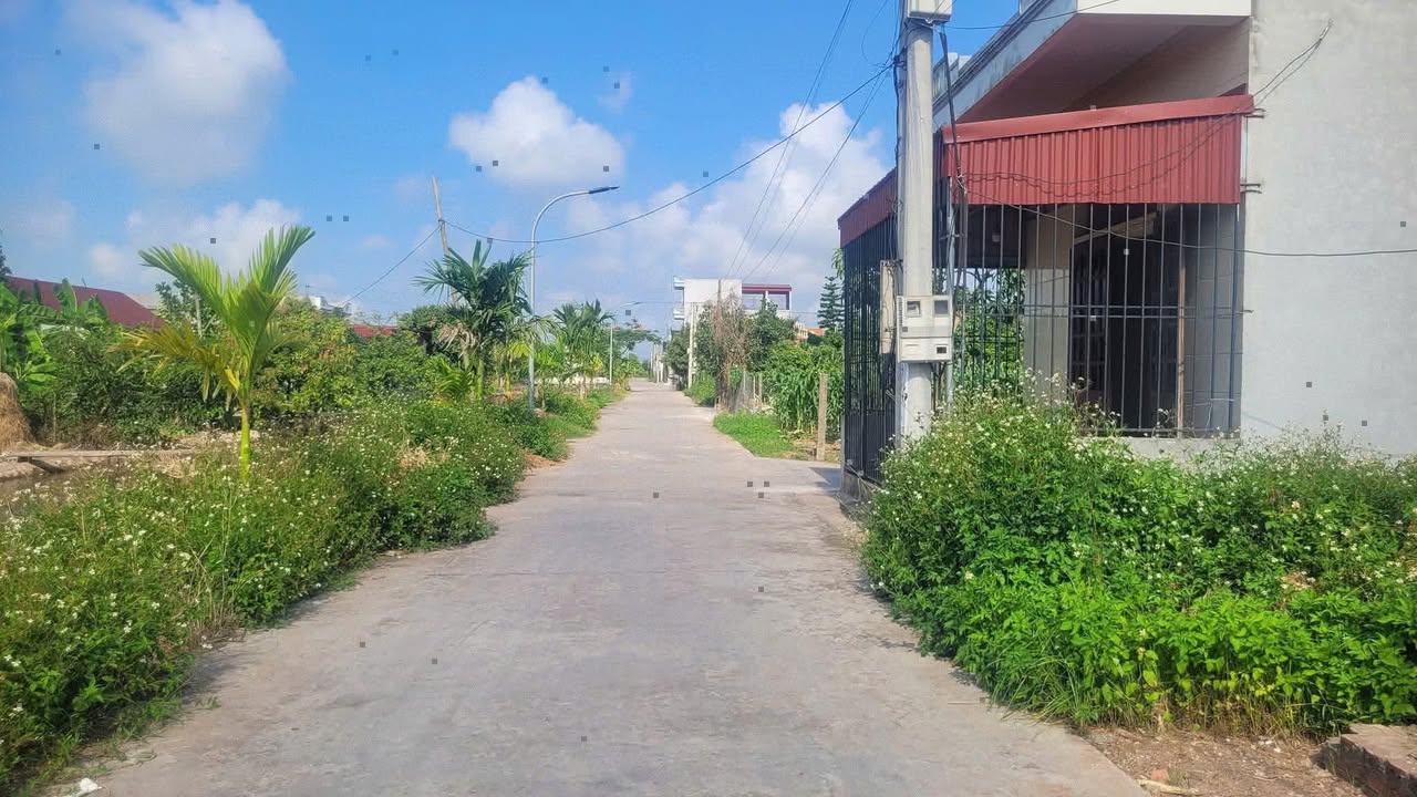 Đất thổ cư 85m² tại TT Quỹ Nhất, Nghĩa Hưng - Giá chỉ 650 triệu!