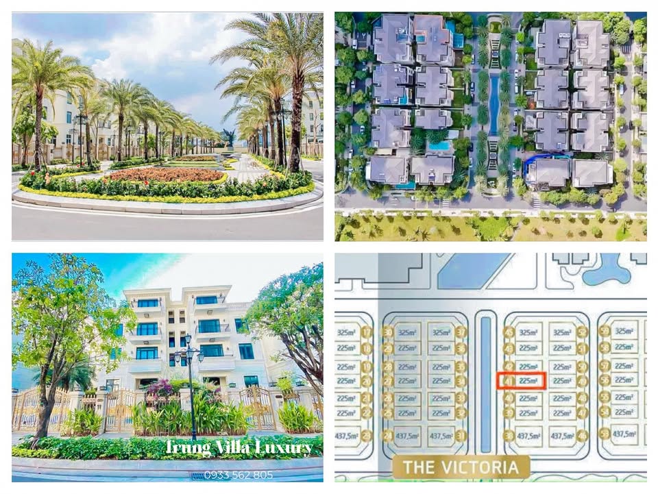 Biệt thự Victoria Bason Quận 1, 225m² giá 300 tỷ - Đầu tư sinh lời tuyệt vời!