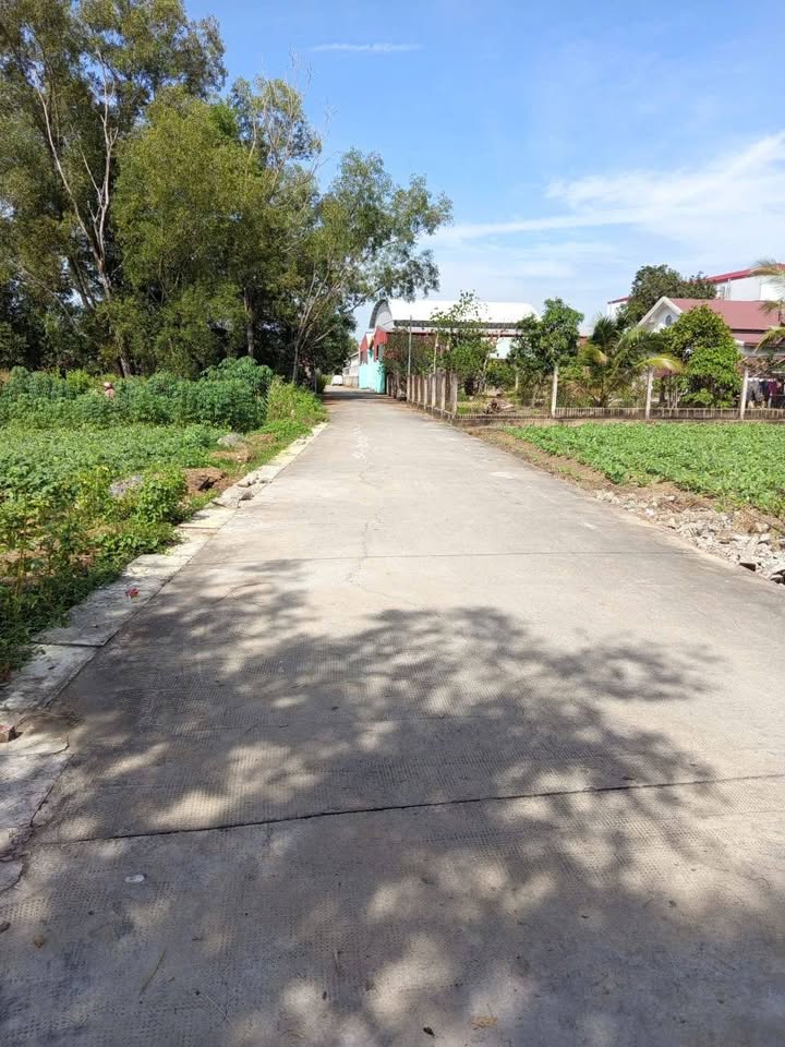 Đất thổ cư Nhơn Trạch 100m² - Mặt đường đẹp, giá thỏa thuận!