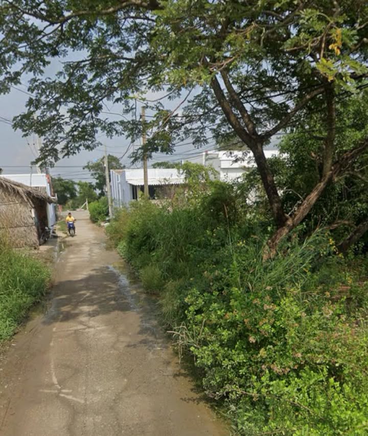 Đất thổ cư Lý Nhơn Cần Giờ 1420m² giá 14.2 tỷ - Đầu tư sinh lời ngay!