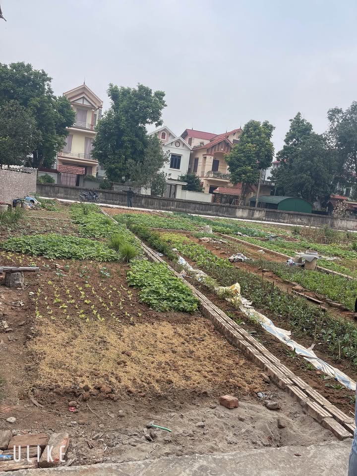 Đất nền Khu phố Chè Ninh Xá 60m² giá 1.9 tỷ - Tiềm năng tăng giá vượt trội!