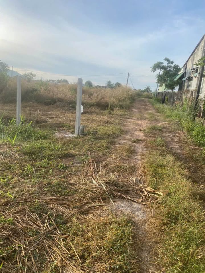 Đất thổ cư Bình Minh 140m² giá 330 triệu - Gần chợ và trường học!