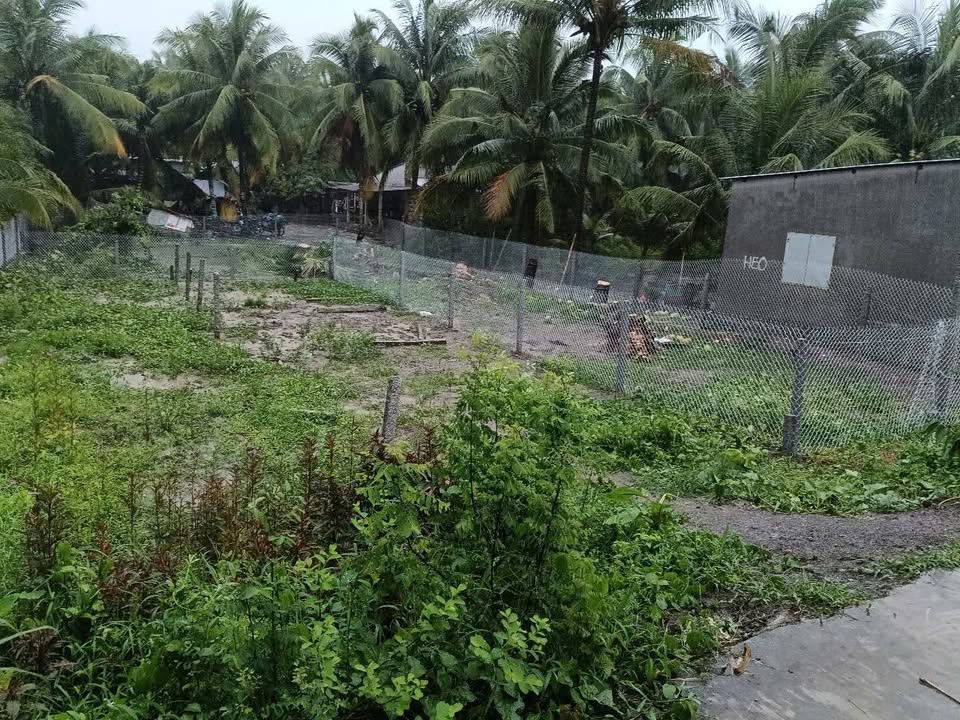 Đất nền xã Trung An, huyện Vũng Liêm 300m² giá chỉ 1xx triệu - Cơ hội đầu tư sinh lời!