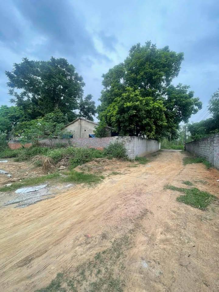 Đất thổ cư Thanh Vân 75m² giá 800 triệu - Đường 11m, dễ dàng xây dựng!