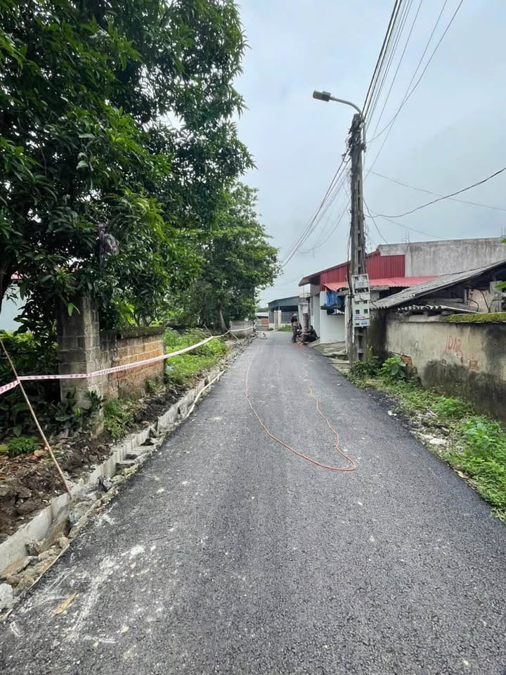 Đất nền Núc Hạ - Hồ Sơn - Tam Đảo 115m² giá 1 tỷ - Đầu tư sinh lời ngay!