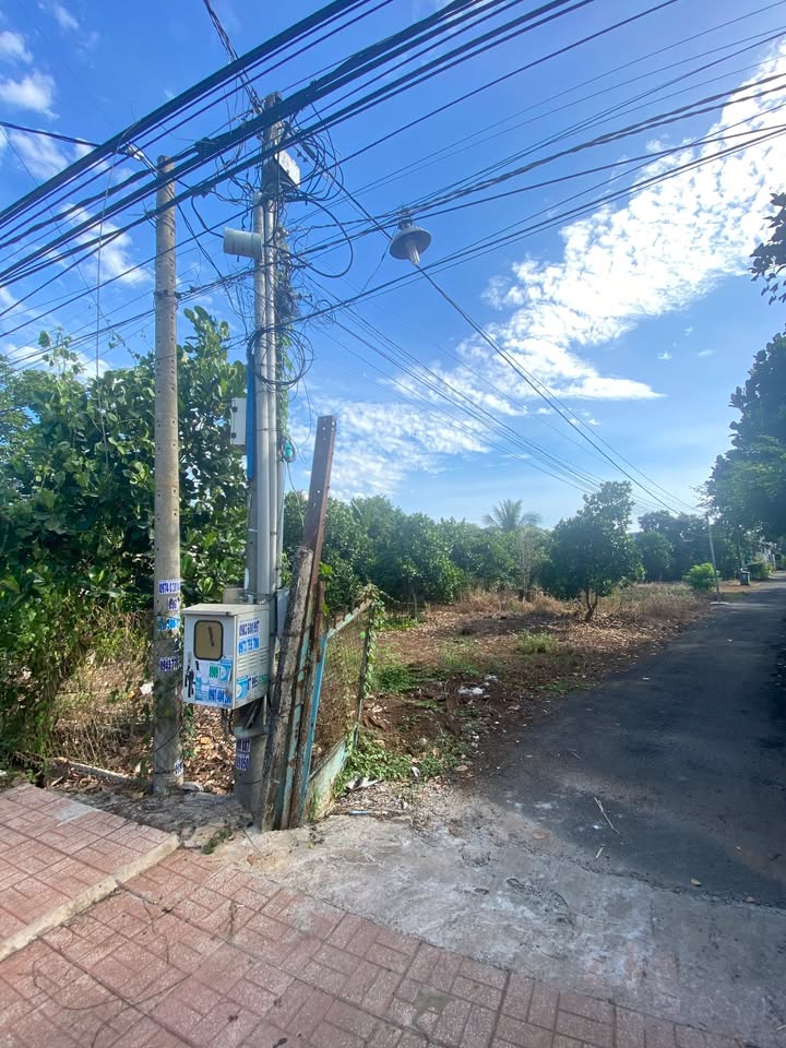 Đất cho thuê mặt tiền đường Điểu Xiển, xã Bàu Trâm 741.6m² giá chỉ 5 triệu/tháng!