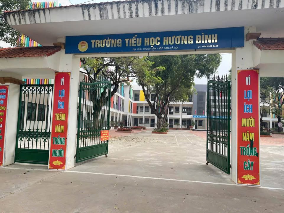 Đất đấu giá Hương Đình, Mai Đình, Sóc Sơn 79,3m² - Tiềm năng tăng giá cao!